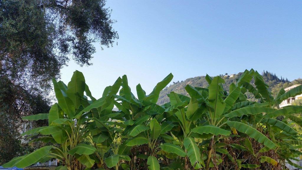 Argo, Feakia Villa Agios Gordios (Corfu)